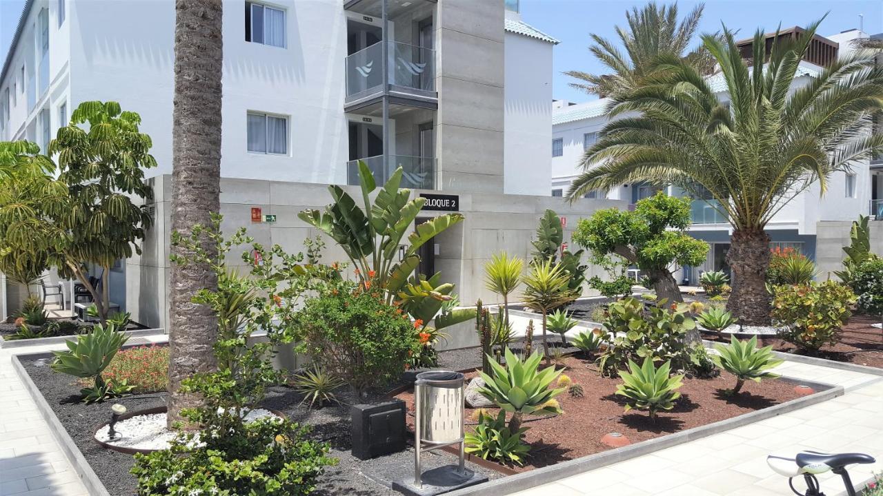 Apartamento Cozy & Confortable Junior By Bristo Sunset # Good Wifi, Terrace And Pool